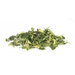 Stevia Leaves c/s