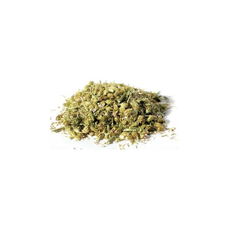 Yarrow