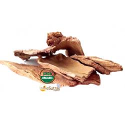Arjun  bark Terminalia Arjuna